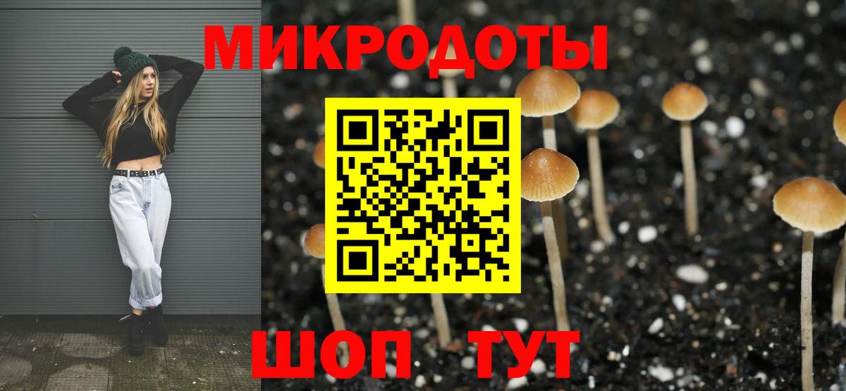 Москва  Галлюциногенные грибы GOLDEN TEACHER  Вход с VPN 